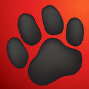 Automated Pet Services Marketing APK