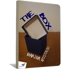 The box, Μarina Apostolou icon