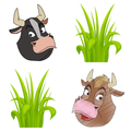 My Funny Farm