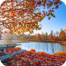 Autumn Wallpaper APK