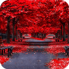 Autumn Wallpaper أيقونة
