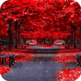 Autumn Wallpaper icône