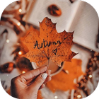 آیکون‌ Autumn Wallpaper