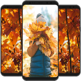 Autumn Wallpaper biểu tượng