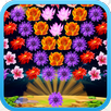 Blossom shooter APK