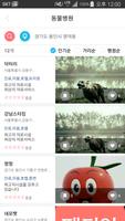 페티앙(Petian)-반려동물 동물병원,애견미용,애견호텔,애견유치원,애견훈련 예약서비스 ảnh chụp màn hình 1