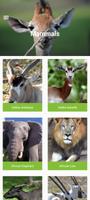 برنامه‌نما Zoo Miami عکس از صفحه