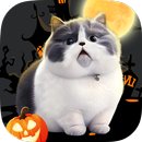 Cute Cat Pictures AI Generator APK