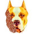 Drawing And Coloring - Poly Art
