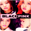 Best BLACKPINK Songs Plus Lyric ( Offline) APK