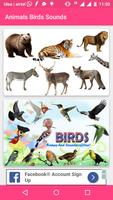 Poster Animals and Birds Sounds
