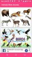 Animals and Birds Sounds 海报