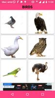 3 Schermata Animals and Birds Sounds