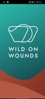 Wild On Wounds 2023 海报