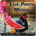 Enlight pixaloops