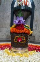 Kapaleshwer Mandir Nashik captura de pantalla 1