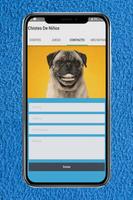 Chistes para compartir gratis syot layar 3