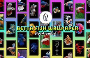 Betta Fish Wallpaper ポスター