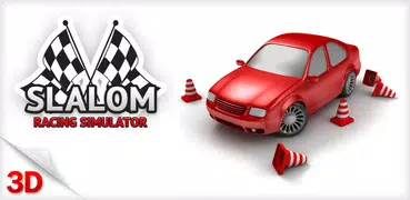 Slalom Racing Simulator