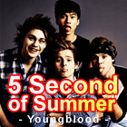 5 Second of Summer icon