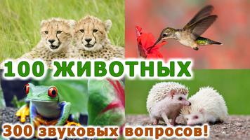 Животные для детей и малышей! Poster
