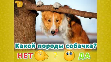 Животные для детей и малышей! captura de pantalla 4