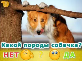 Животные для детей и малышей! captura de pantalla 6