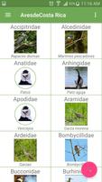Aves de Costa Rica スクリーンショット 1