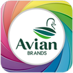Avian Brands アイコン