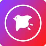 APK Aviary Master