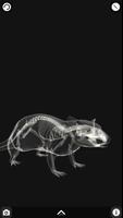 Rattus AR स्क्रीनशॉट 2