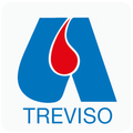 AVIS Treviso