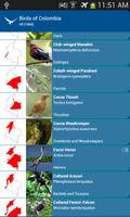 Birds of Colombia mobile guide capture d'écran 1