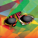 AFFI-CON 2015 APK
