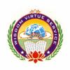 AVN DPS icon