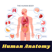 Human Anatomy APK