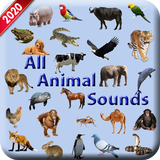 All Animal Sound
