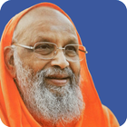 Teachings of Swami Dayananda simgesi