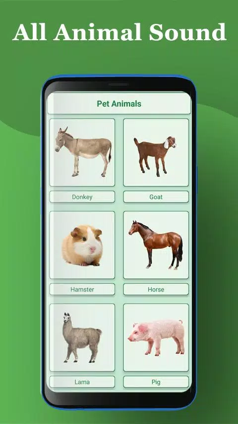 All Animal Sound : Animal Information APK for Android Download