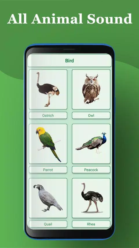 All Animal Sound : Animal Information APK for Android Download All Animal Sound : Animal Information APK for Android Download