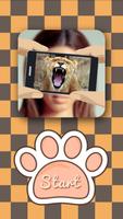What animal am i? Poster