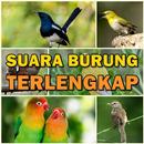 Suara Kicau Burung Terlengkap MP3 Offline APK