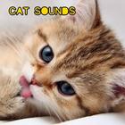 Cat Sounds icône