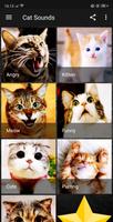 پوستر Cat Sounds