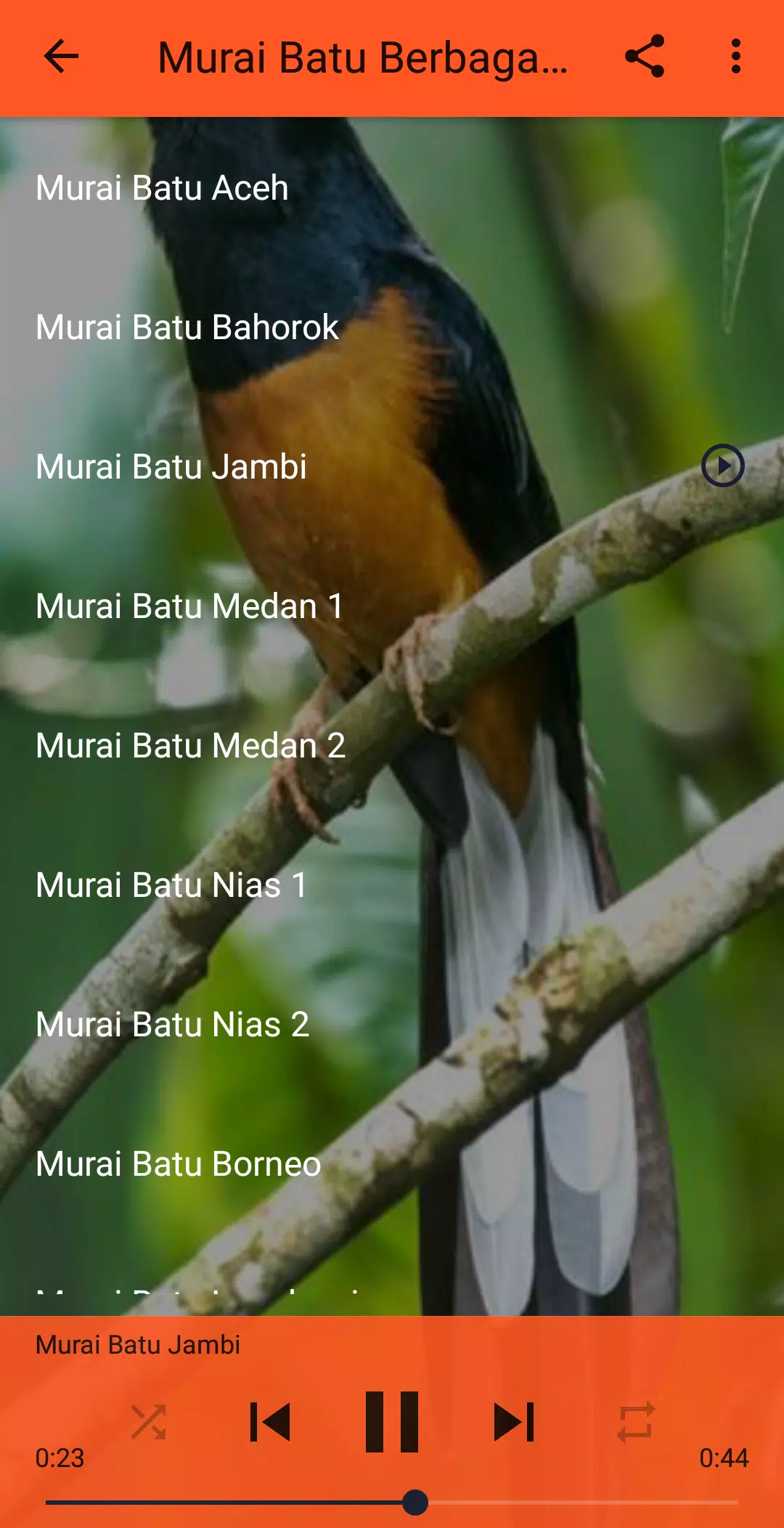 Descarga de APK de Kicau Suara Burung Murai Batu MP3 Offline para Android