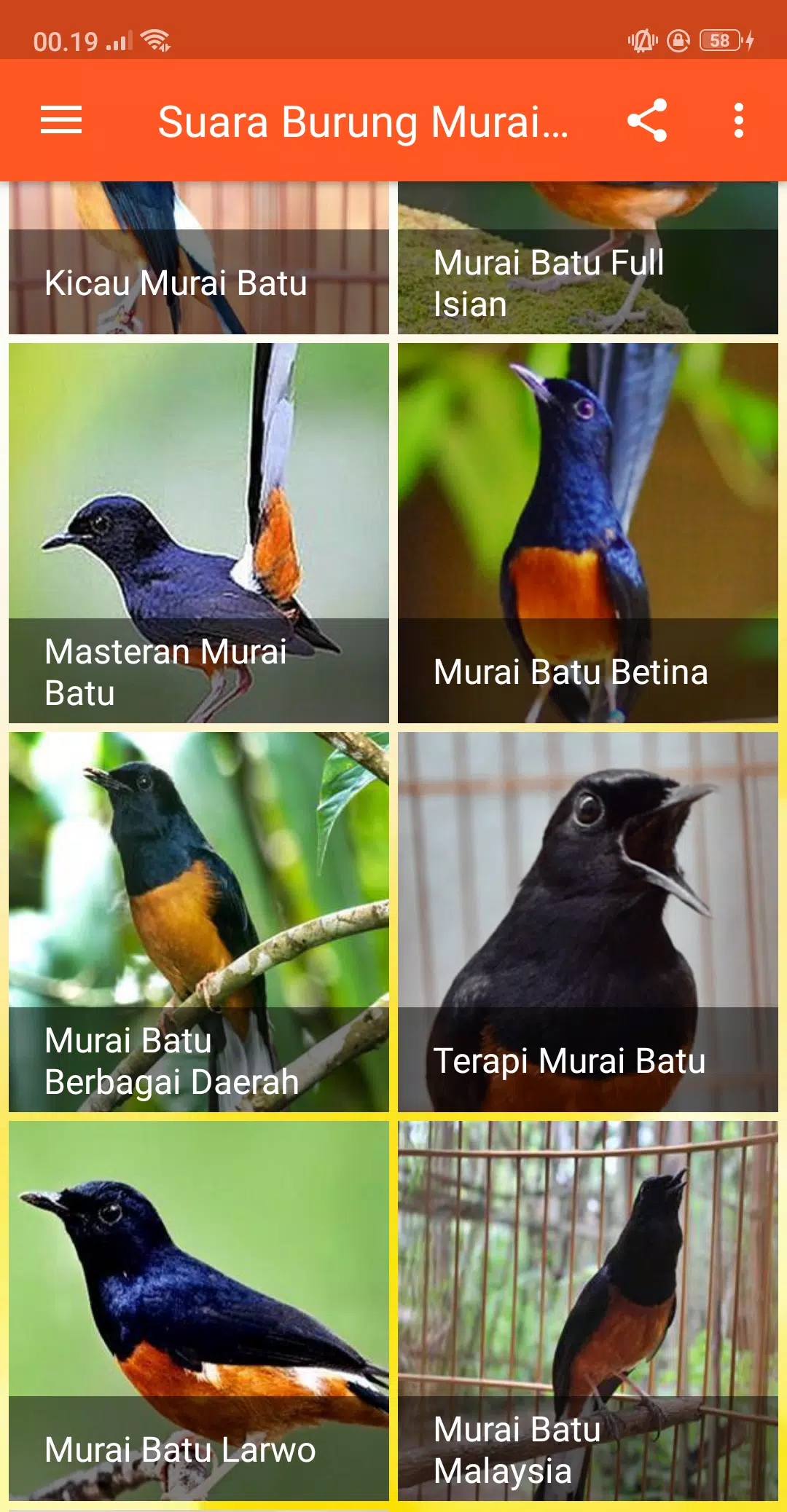 Descarga de APK de Kicau Suara Burung Murai Batu MP3 Offline para Android