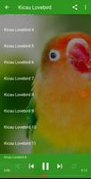 Suara Lovebird Ngekek Panjang MP3 Offline capture d'écran 2
