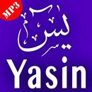 Surat Yasin MP3 Offline APK