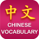 Chinese Vocabulary APK