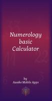 Numerology Basic Calculator capture d'écran 2